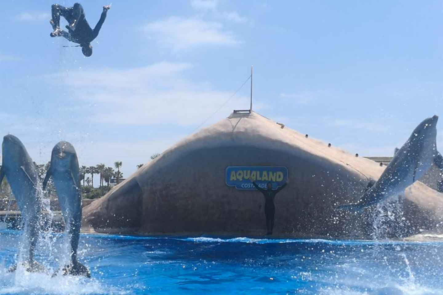 Spettacolo dei delfini all'Aqualand (Costa Adeje), Tenerife
