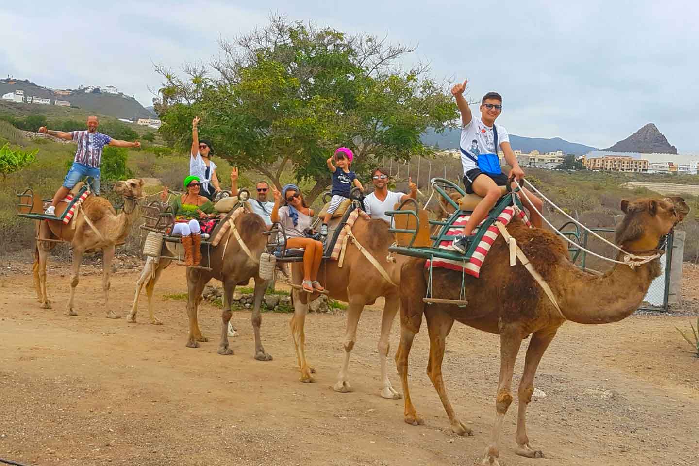 Escursioni in cammello al Camel Park (Costa Adeje), Tenerife