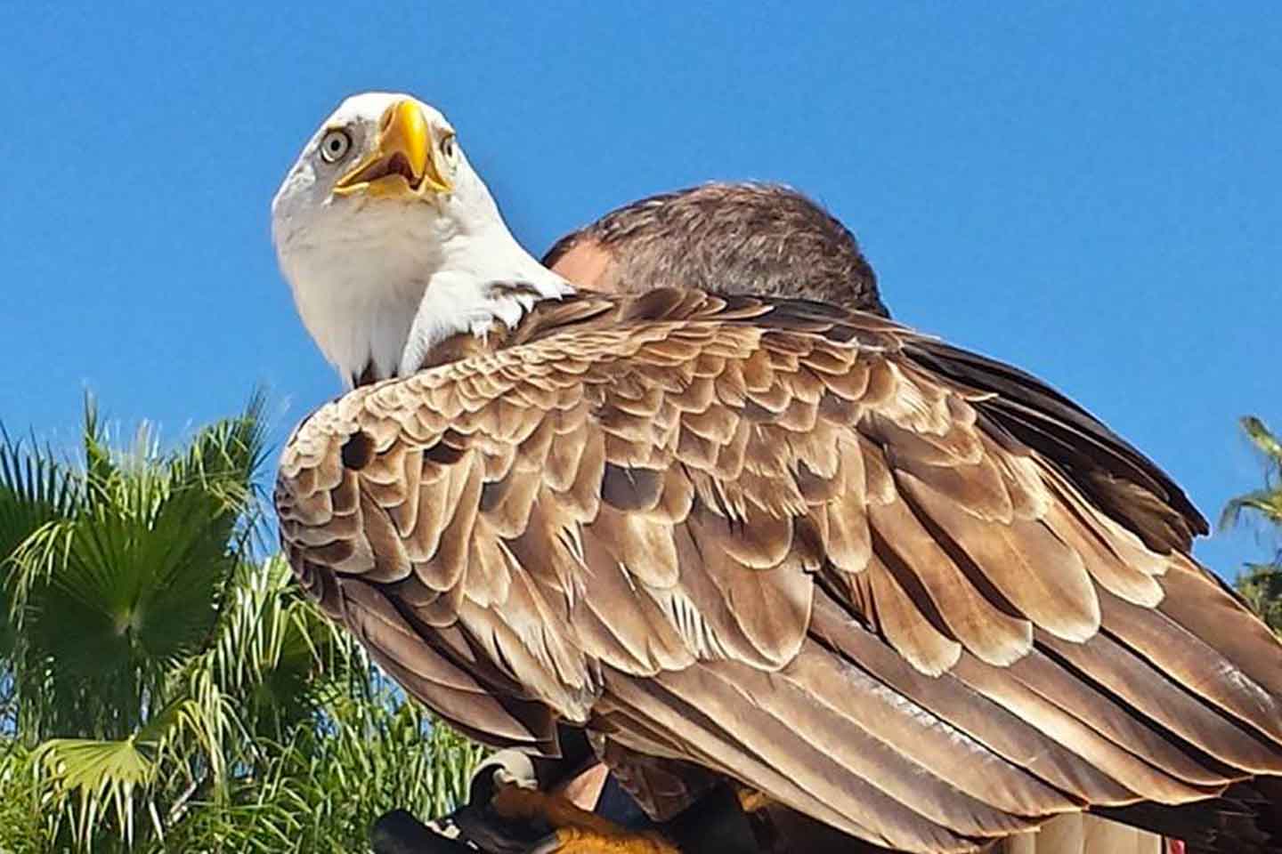 Jungle Park Tenerife (Costa Adeje), Tenerife