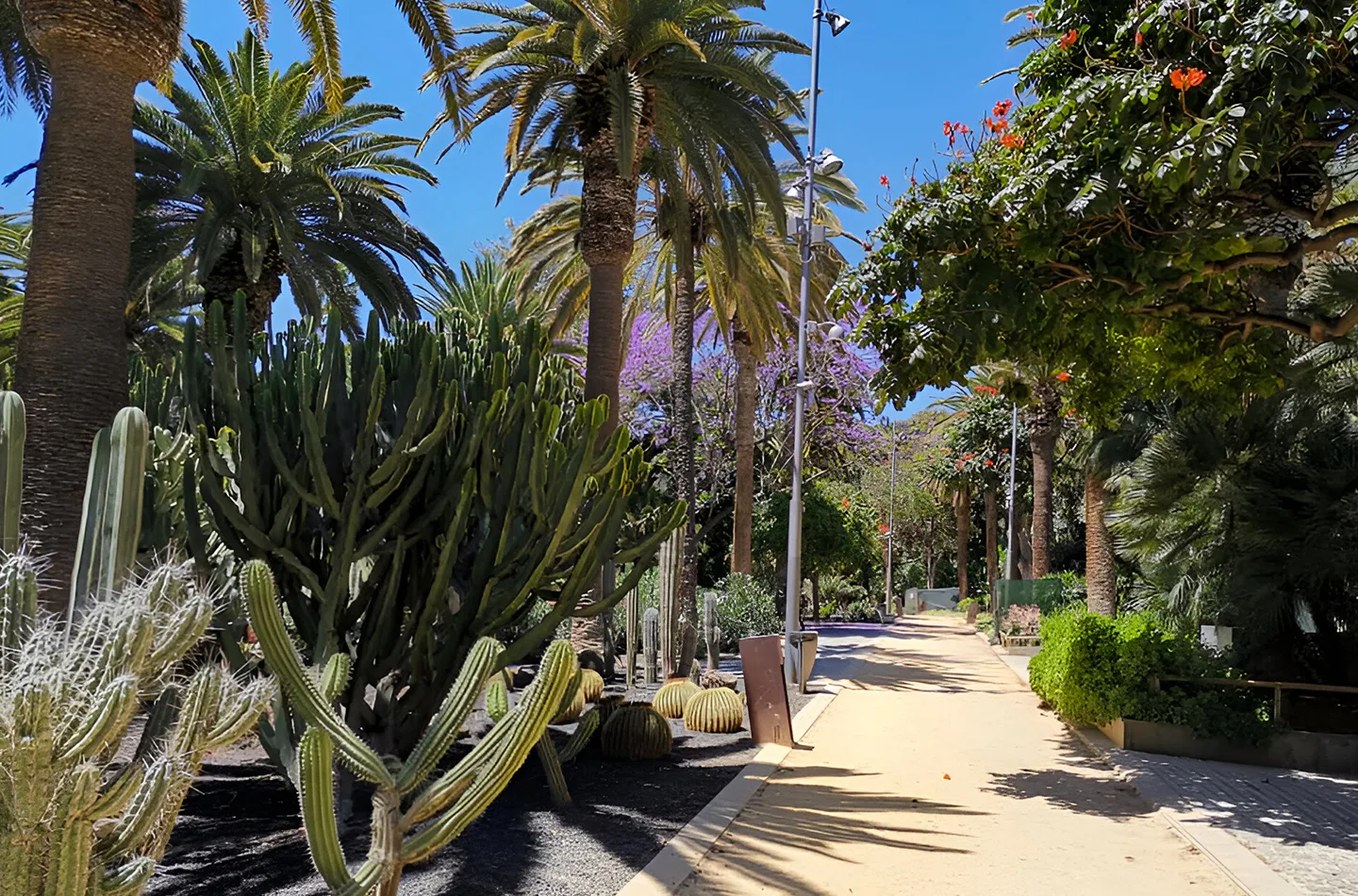Parco García Sanabria, Santa Cruz de Tenerife